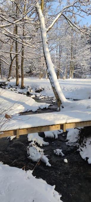 Chatky U Potoka Chatka N3 Olesnice v Orlickych horach Exterior photo