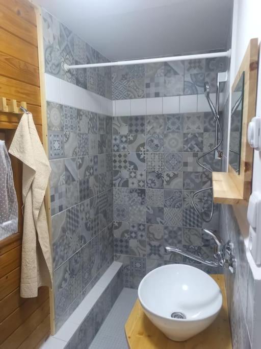 Chatky U Potoka Chatka N3 Olesnice v Orlickych horach Exterior photo
