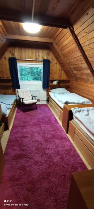 Chatky U Potoka Chatka N3 Olesnice v Orlickych horach Exterior photo