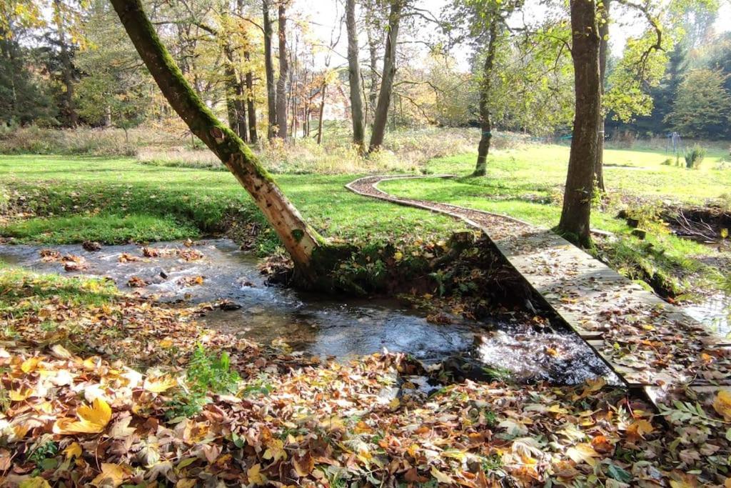 Chatky U Potoka Chatka N3 Olesnice v Orlickych horach Exterior photo